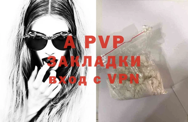 индика Протвино