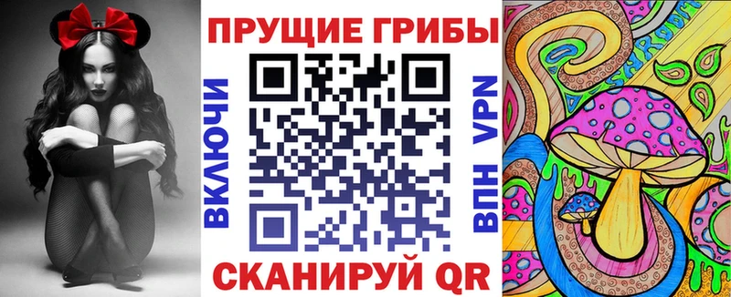 Псилоцибиновые грибы GOLDEN TEACHER  Жуков 
