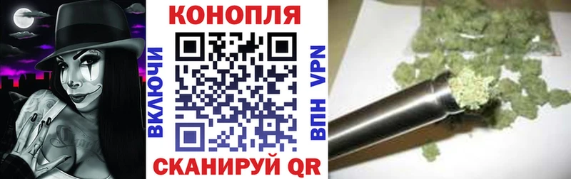 OMG зеркало  Жуков  Бошки Шишки ГИДРОПОН 